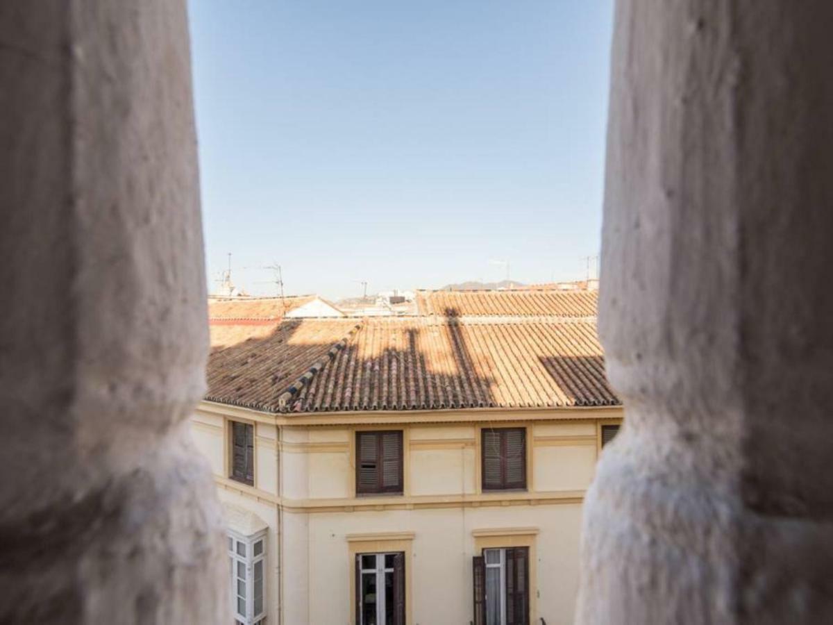 Larios Penthouse With Terrace And 2 Bedrooms Appartement *